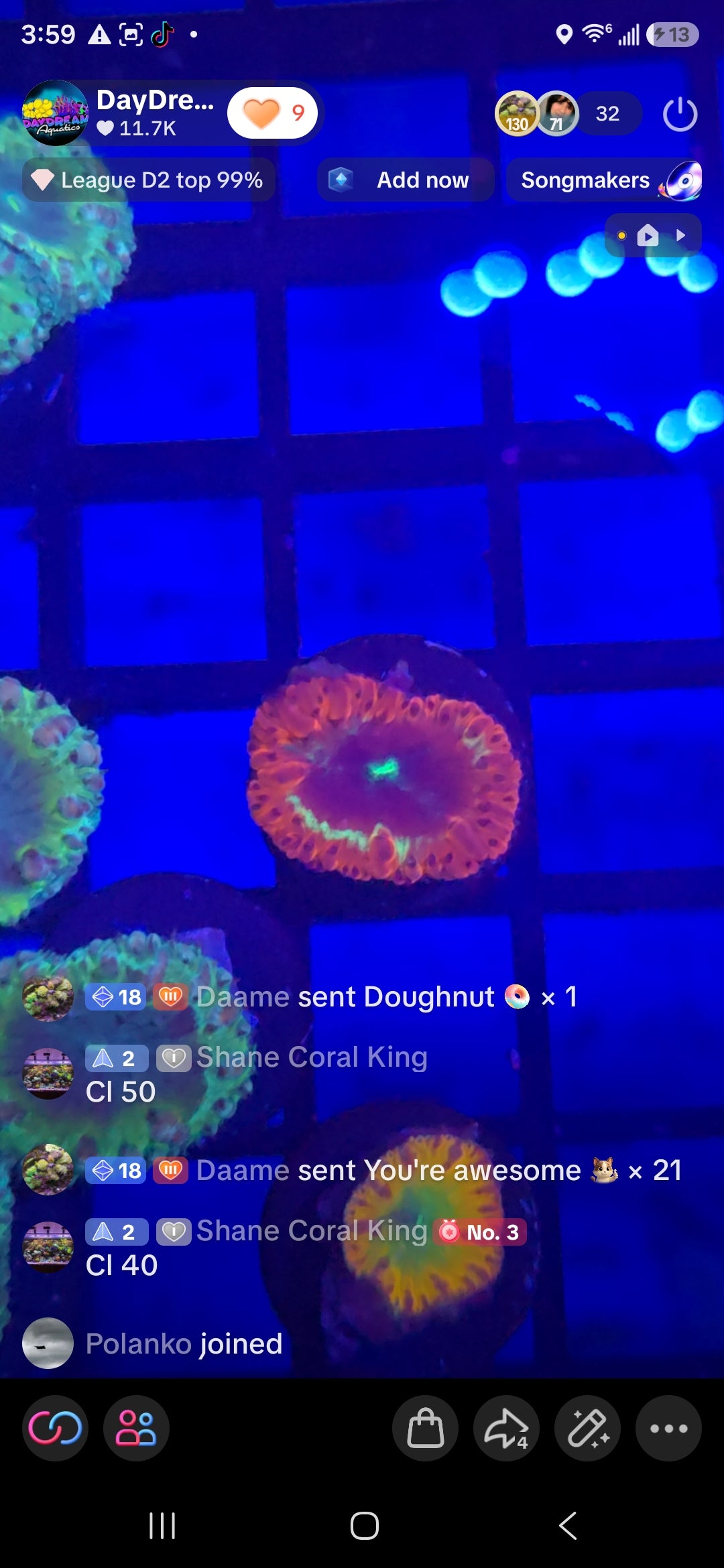 Shane Coral King