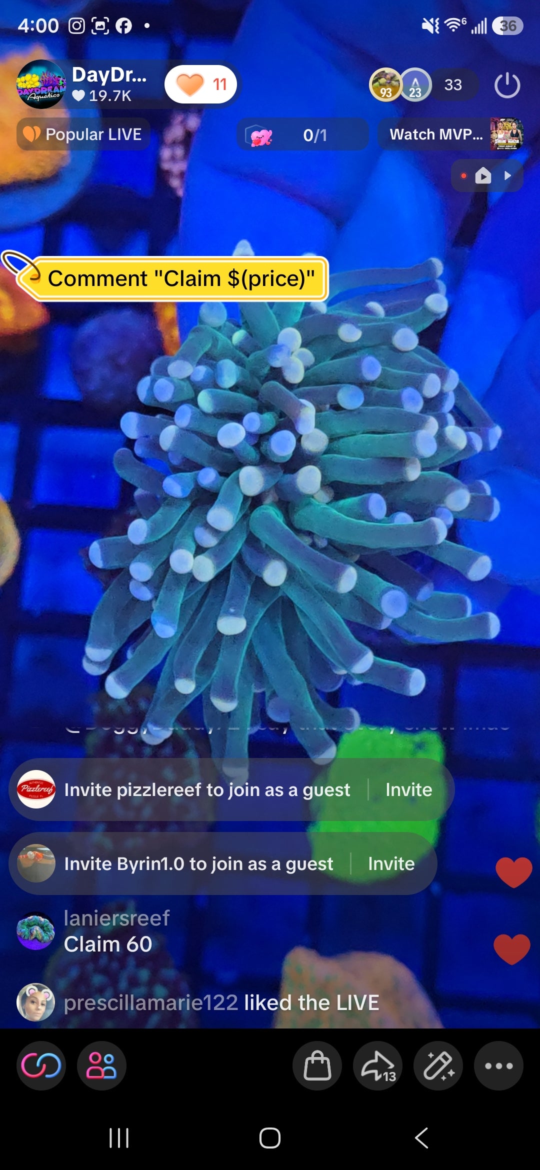 Ianiersreef Pack