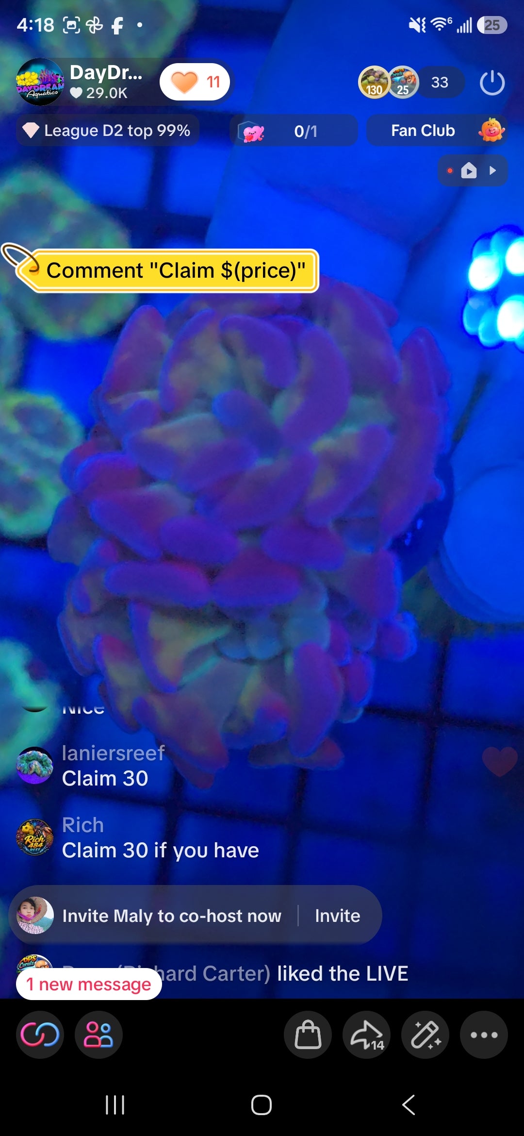 Ianiersreef Pack