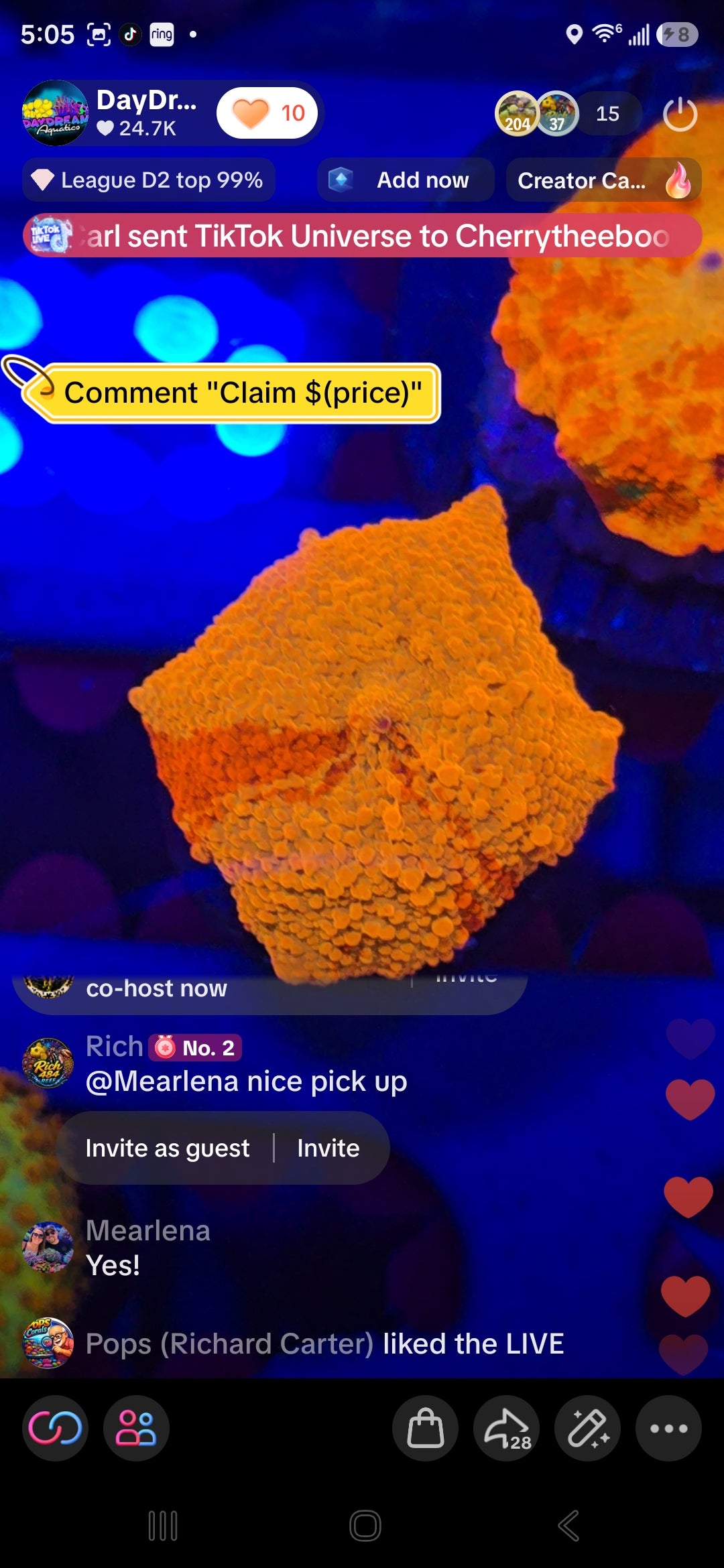 Mearlenas Pack