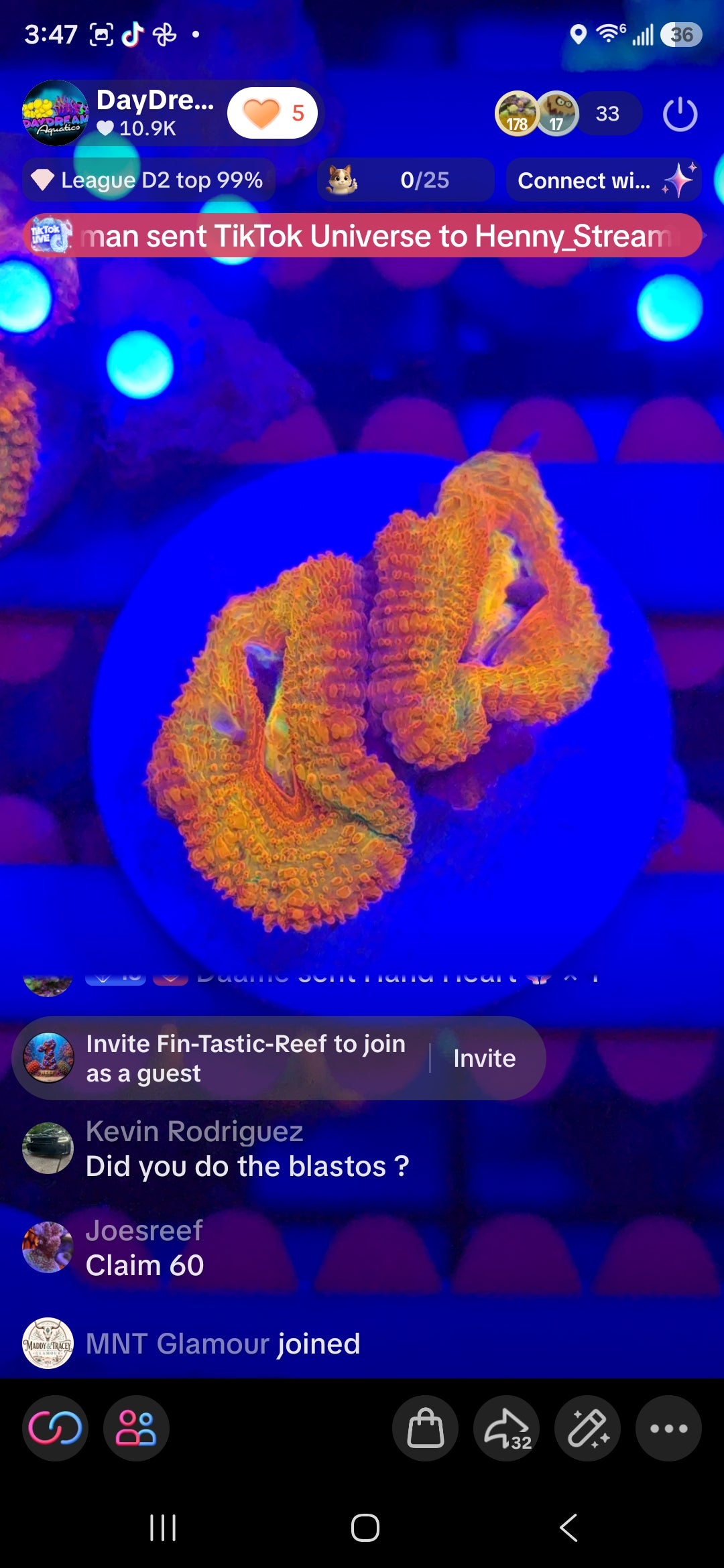 JoesReefs' Pack
