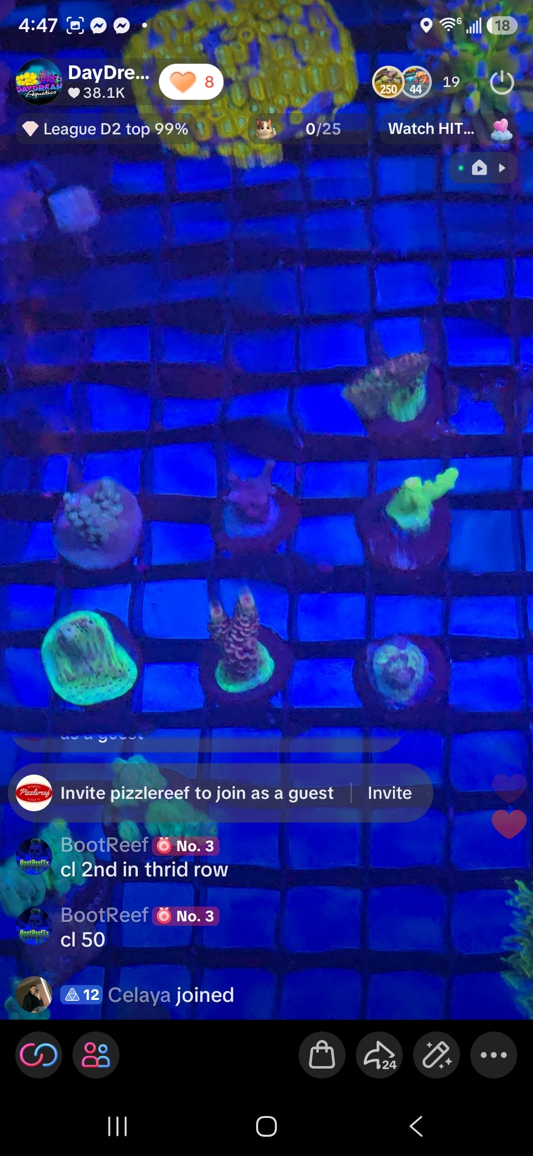 BootReef