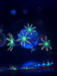 Fireworks Clove Polyps (Extra Bright)