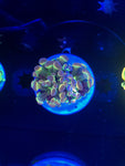 Hologram Hammer